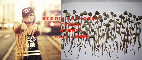 тгк Нефтегорск